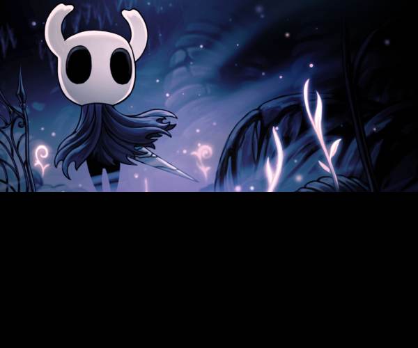 Hollow Knight