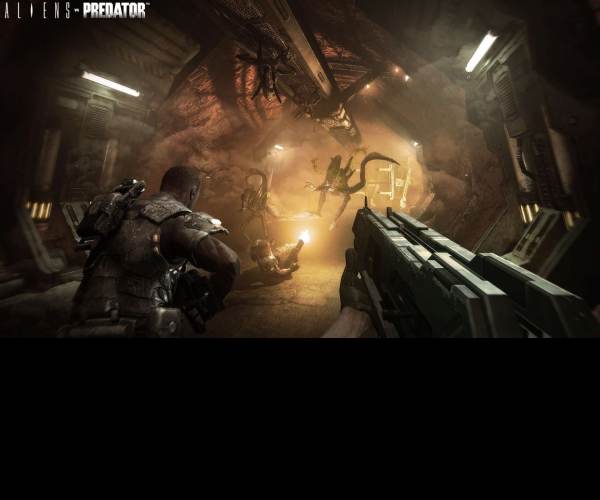 Aliens vs Predator (X360)