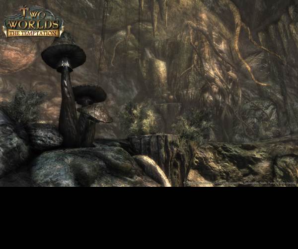 Two Worlds 2: The Temptation