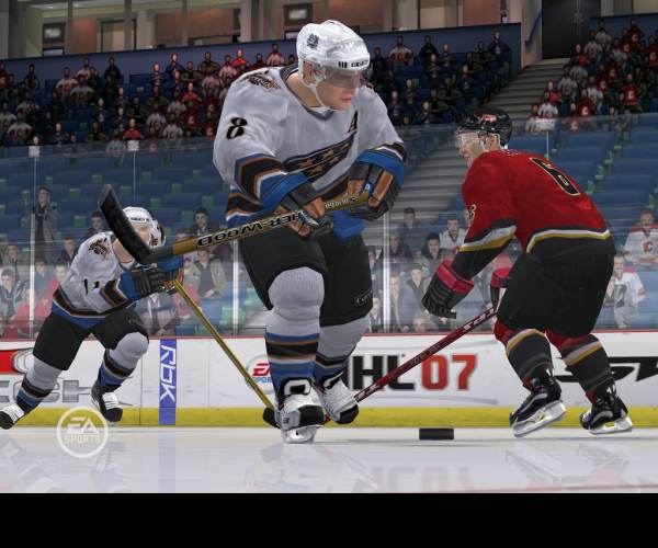 NHL 07 (PS2)