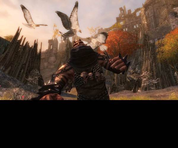 Guild Wars