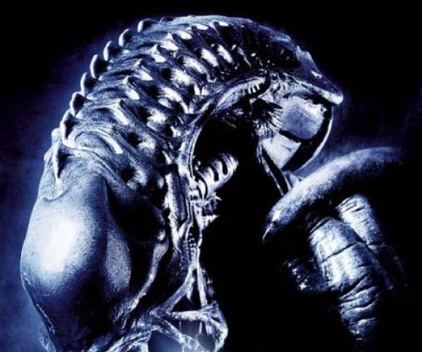 Aliens vs Predator