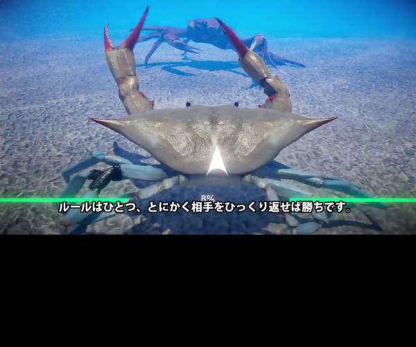 Fight Crab