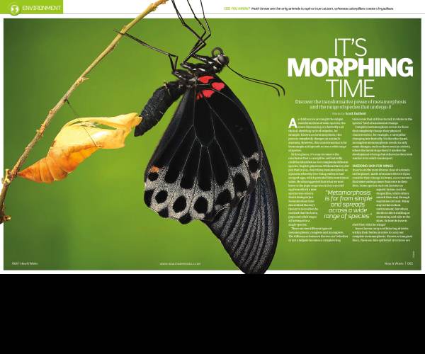 Metamorphosis