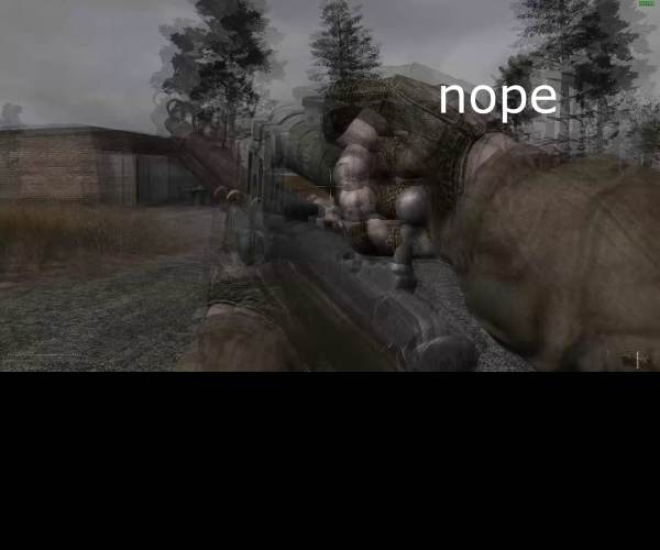 STALKER