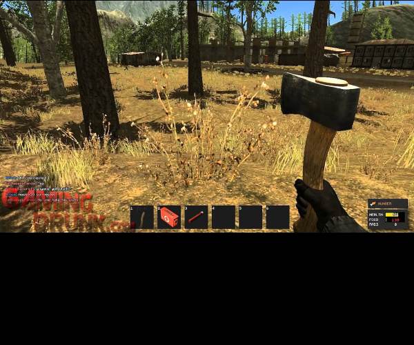 The Survivalist
