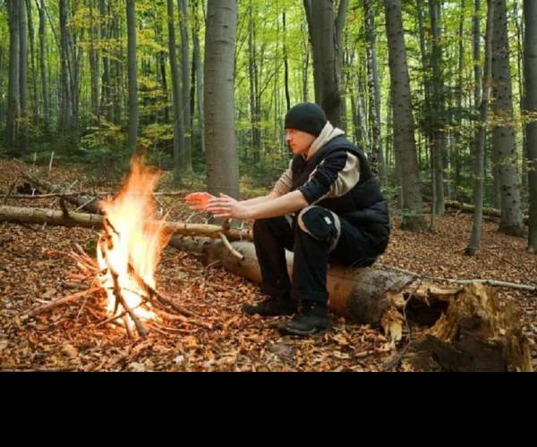 The Survivalist