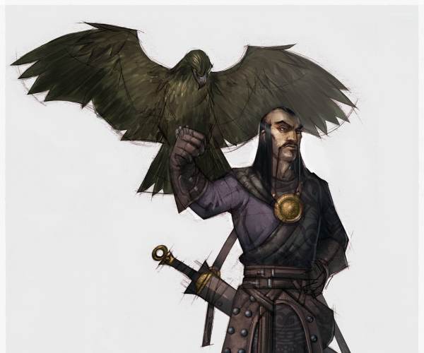 Falconeer