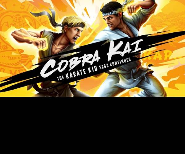 Cobra Kai: The Karate Kid Saga Continues