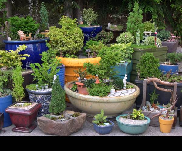 Miniature Garden