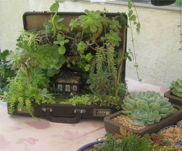 Miniature Garden