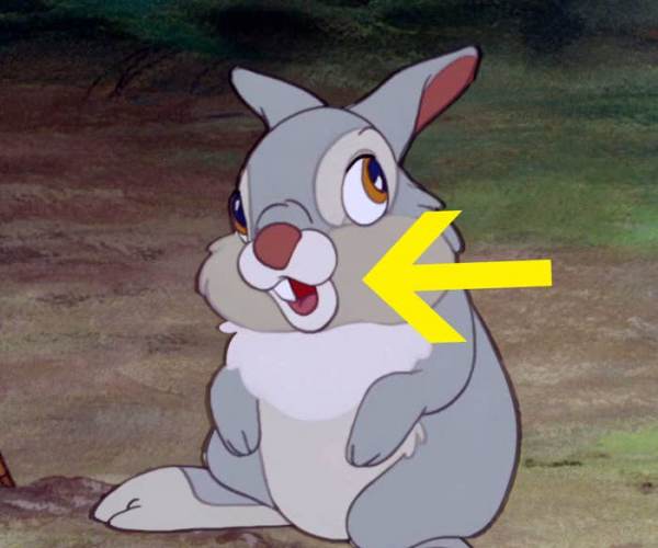 Thumper