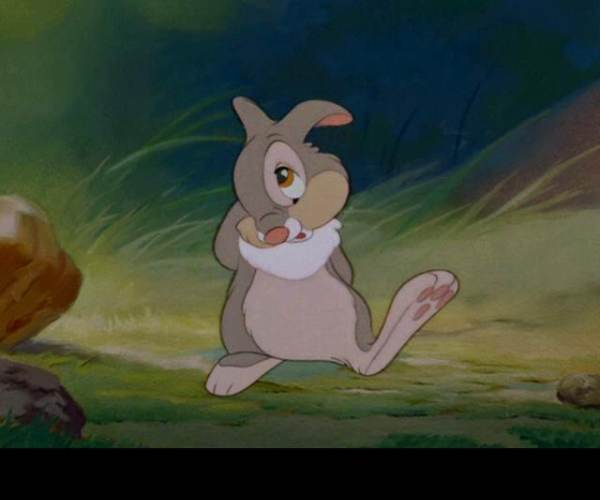 Thumper