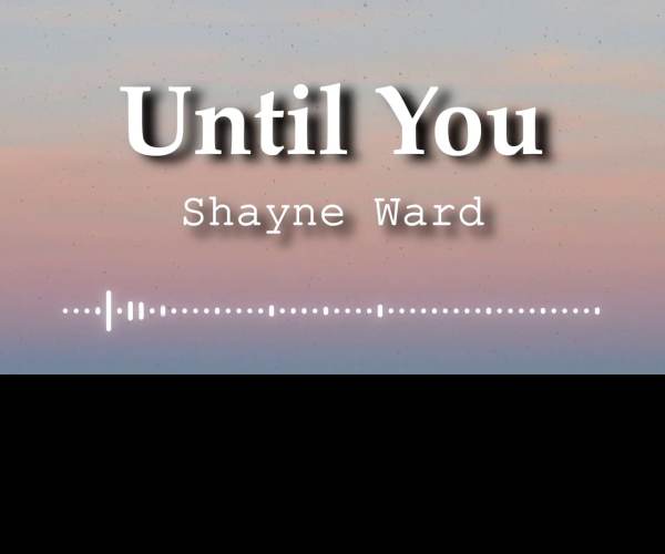 Until I Have You