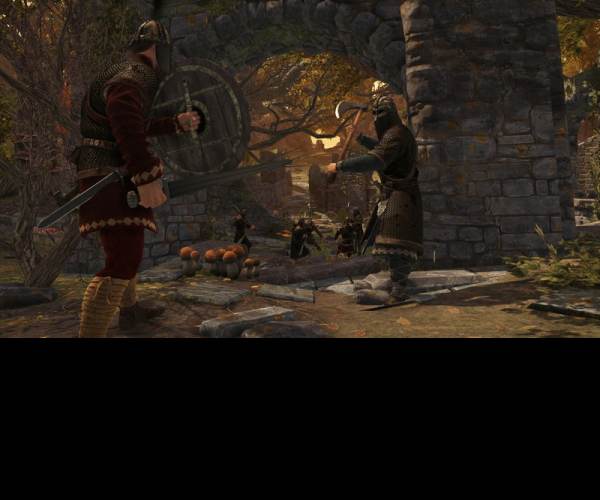 War of the Vikings