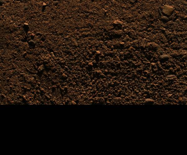DiRT