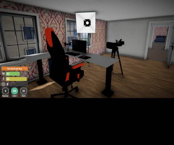 Streamer Life Simulator