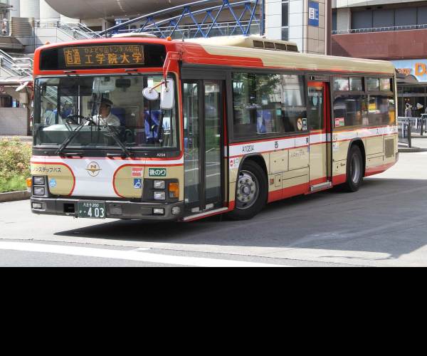 The Bus