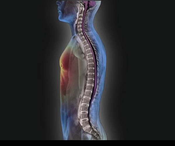 Backbone