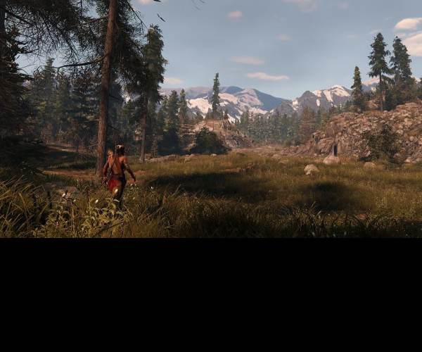 This Land Is My Land