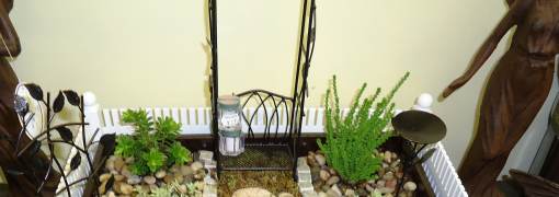 Miniature Garden