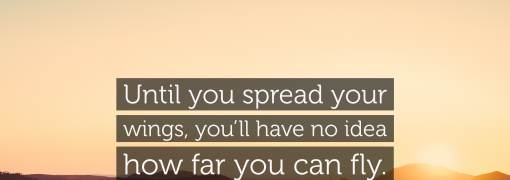 Until I Have You