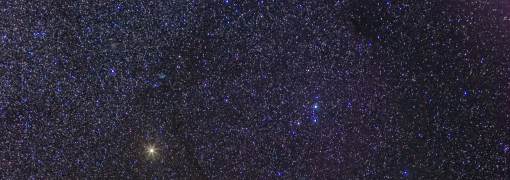 ORION