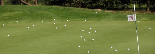 WHAT THE GOLF?