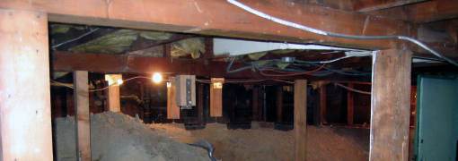 Basement Crawl