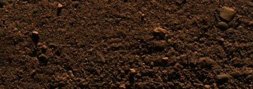 DiRT