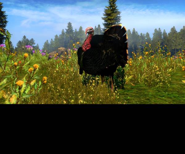 Cabela Outdoor Adventures