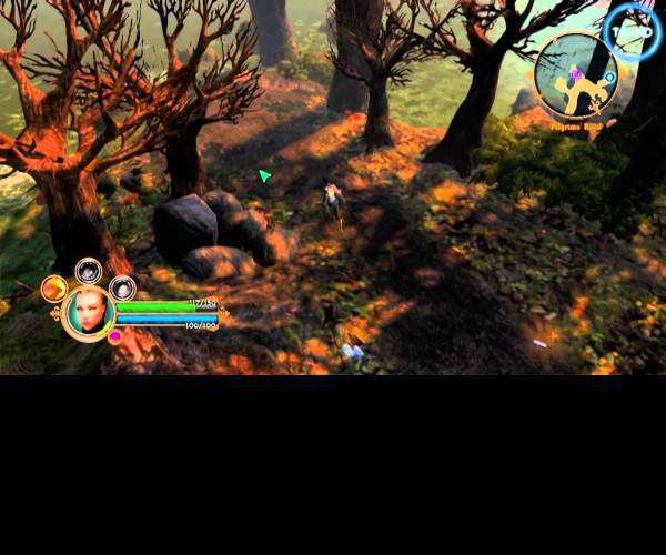 Dungeon Siege
