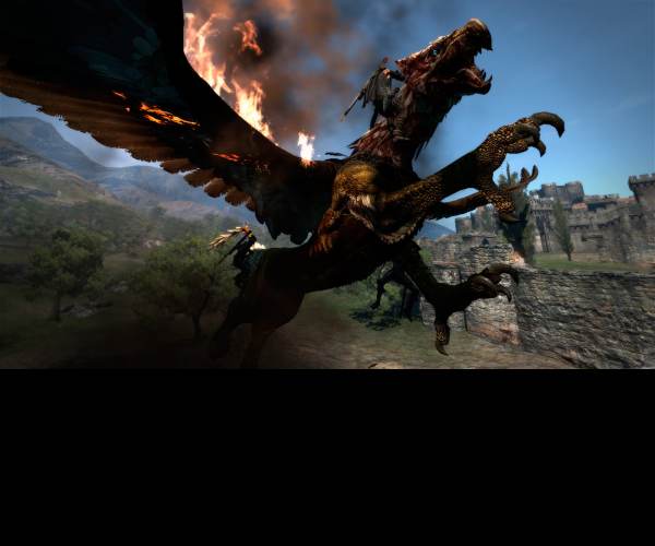 Dragons Dogma