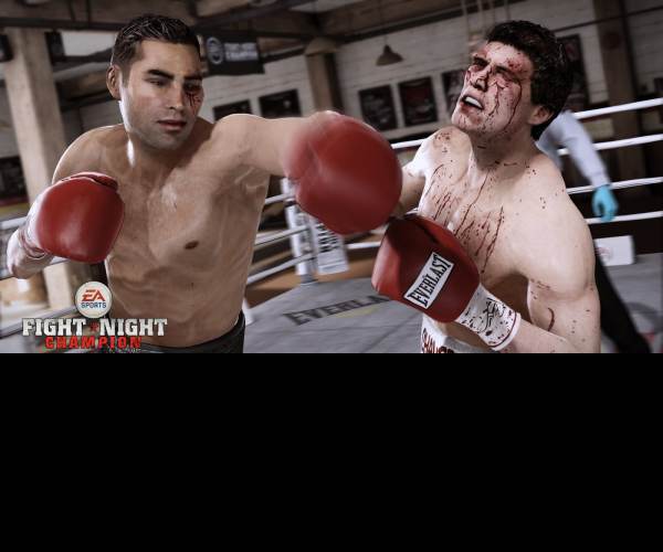 Fight Night Champion (PS3)