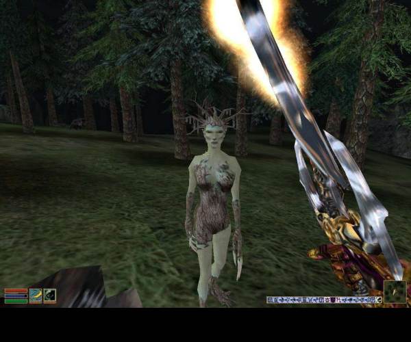 Morrowind: Bloodmoon