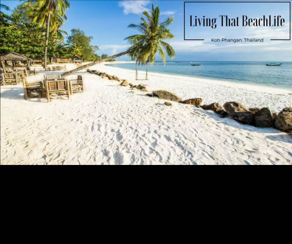 Beach Life