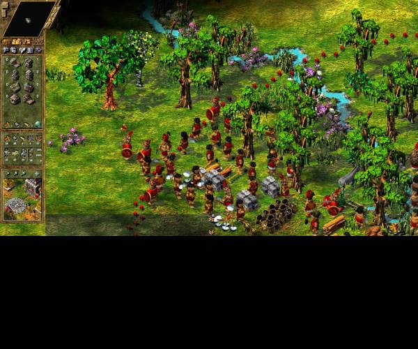 The Settlers 4