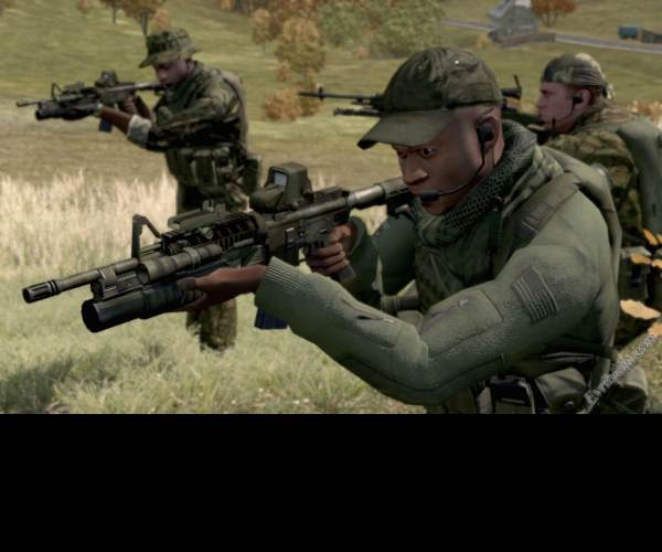 ArmA 2: Reinforcements