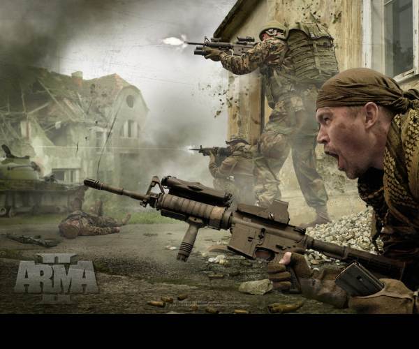 ArmA 2: Reinforcements