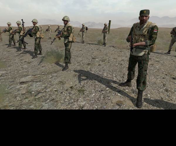 ArmA 2: Reinforcements
