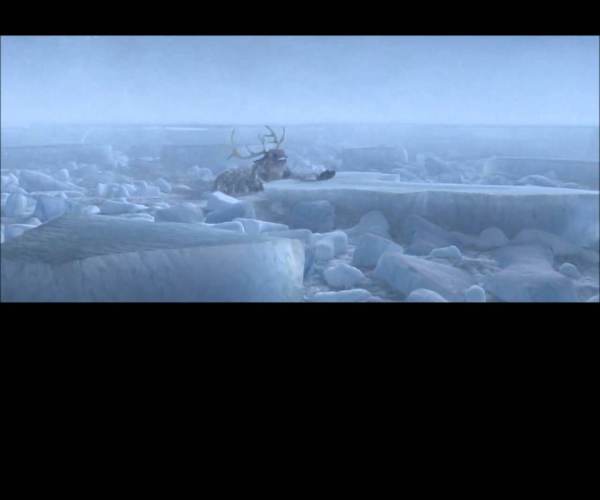 Whiteout