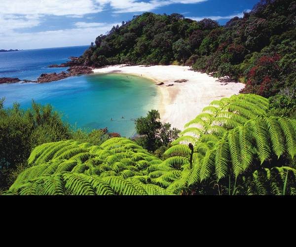 Northland
