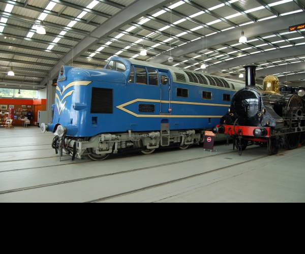 Locomotion