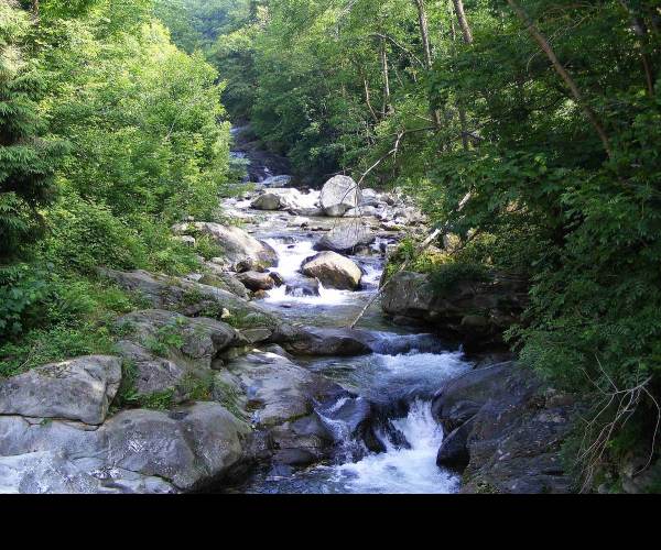 Torrente