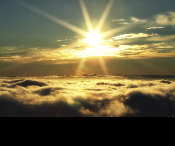 Dream