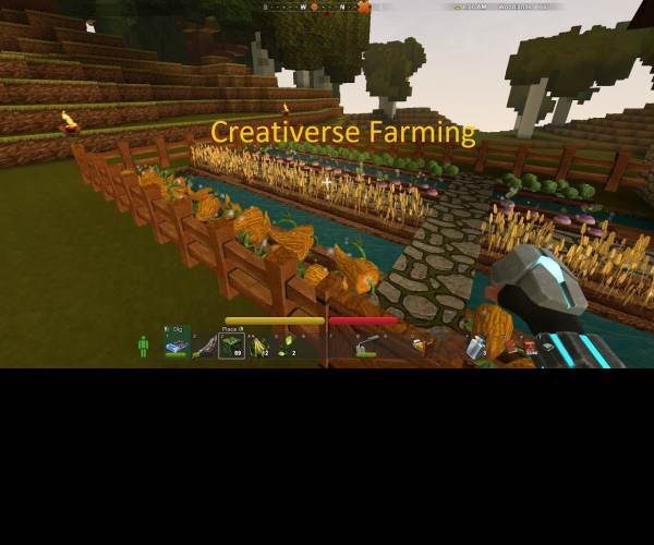 Creativerse