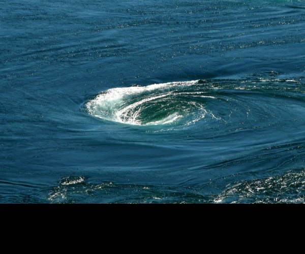 Maelstrom