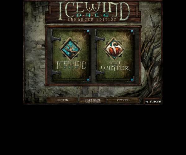 Icewind Dale: Enhanced Edition 