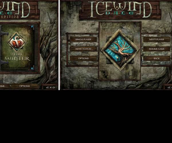 Icewind Dale: Enhanced Edition 