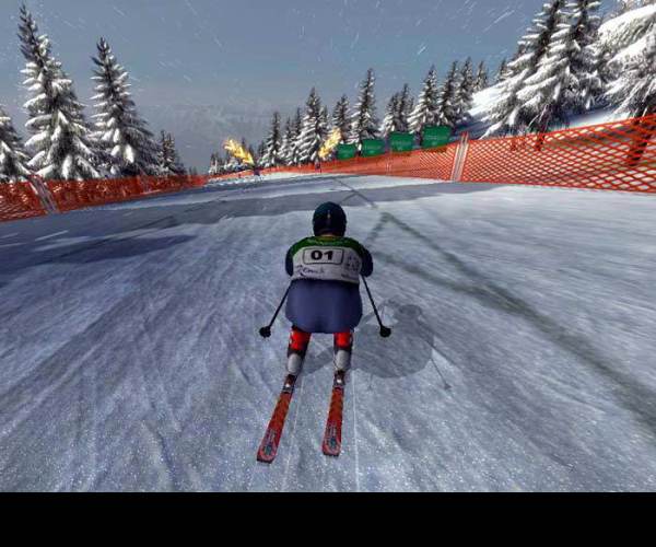 Alpine Ski Racing 2007